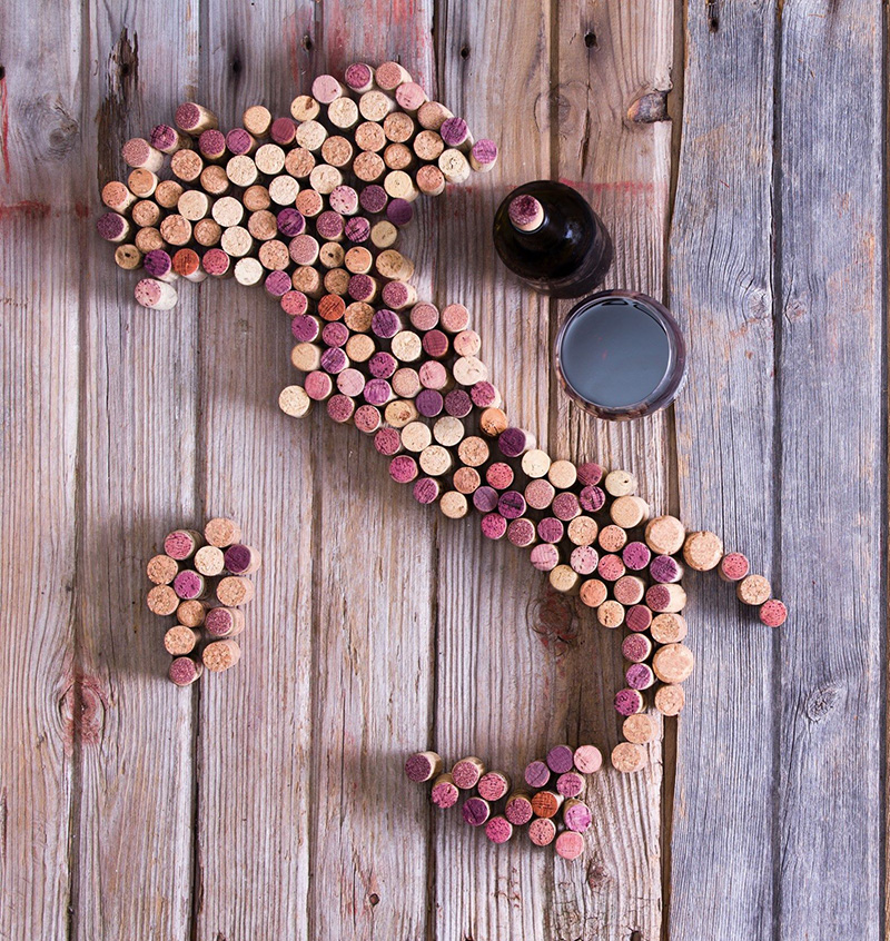 tour selection of Italian wine